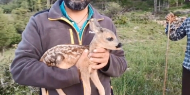 ORMANDA BULUNAN CEYLAN, KEÇİ SÜTÜYLE HAYATA TUTUNDU