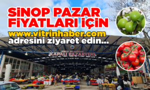 sinopazarfiyatlar852025i