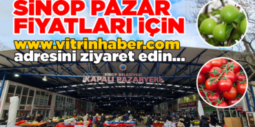 sinopazarfiyatlar852025i