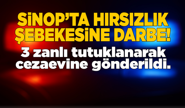 Sinop’ta hırsızlık şebekesine darbe