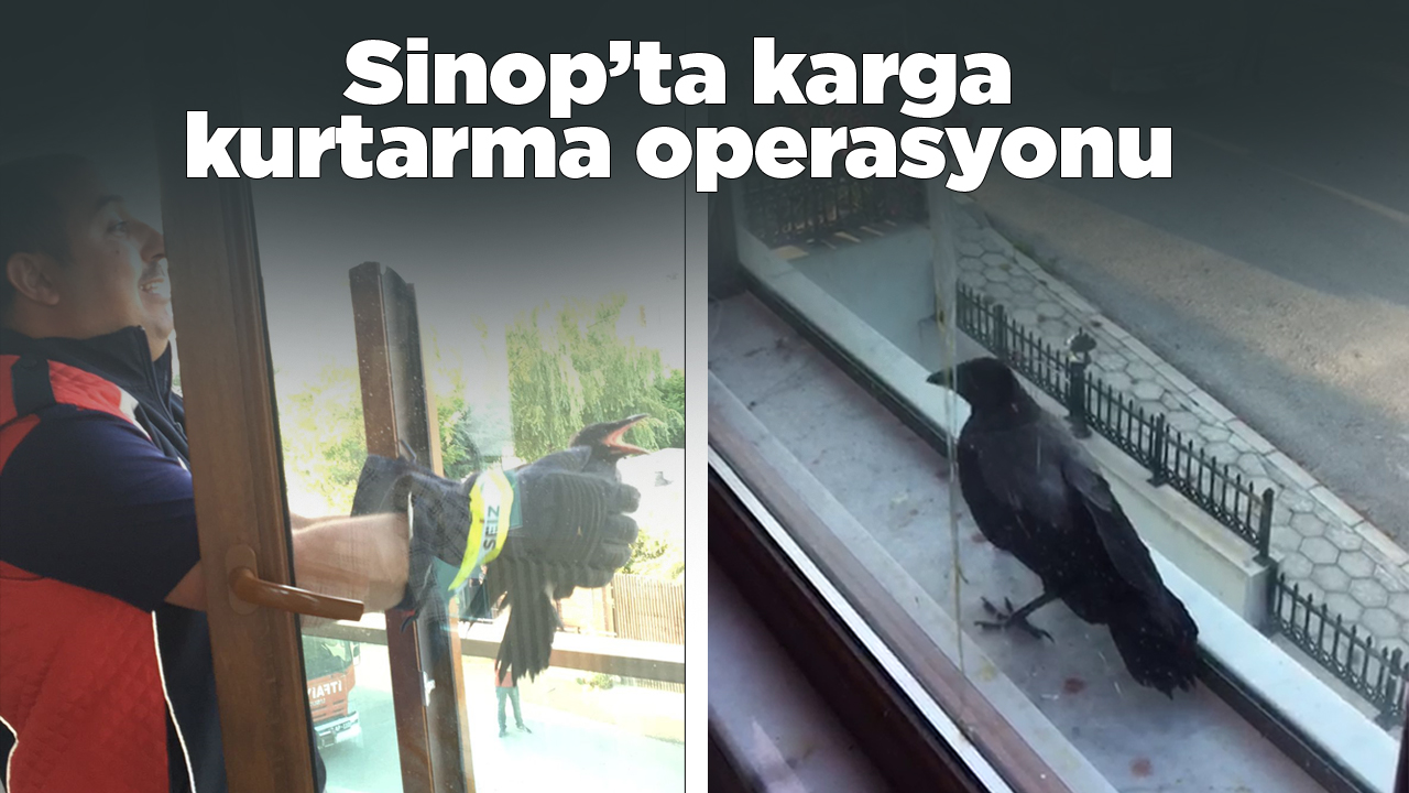 sinopkarga