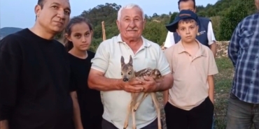 ÇOBAN BULDUĞU YAVRU CEYLANA KEÇİ SÜTÜYLE BAKIYOR