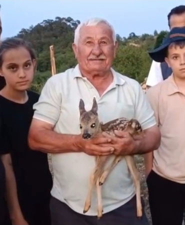 ÇOBAN BULDUĞU YAVRU CEYLANA KEÇİ SÜTÜYLE BAKIYOR