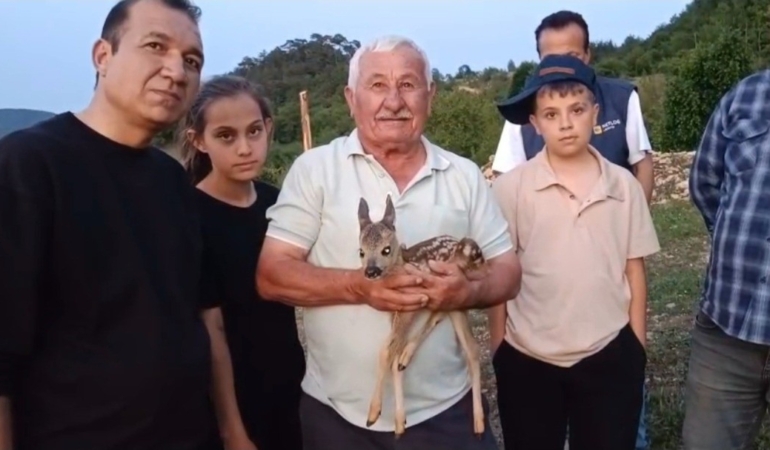 ÇOBAN BULDUĞU YAVRU CEYLANA KEÇİ SÜTÜYLE BAKIYOR