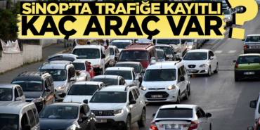 sinopta-trafige-kayitli-arac-sayisi-vitrinhaber