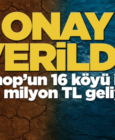 sinopun16koyu09823762675274