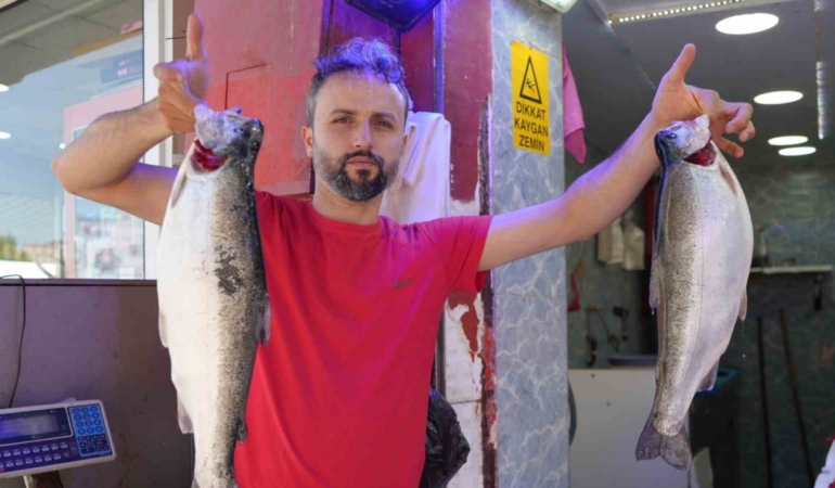 somon-en-cok-tercih-edilen-balik-oldu