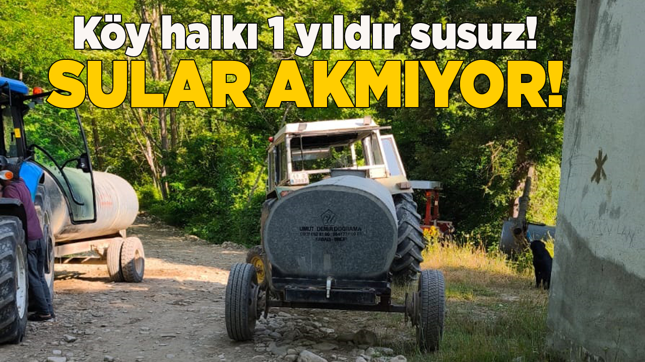 taypaklisu
