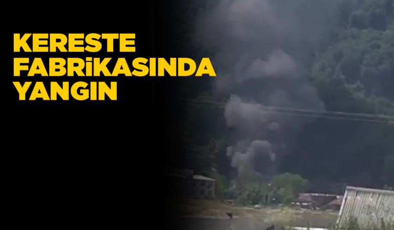 Sinop’ta kereste fabrikasında yangın çıktı