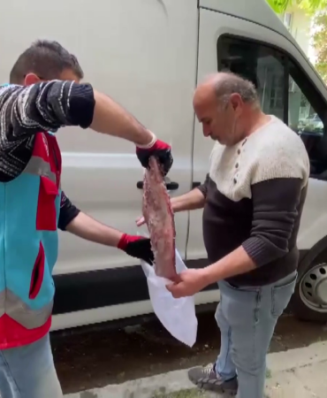 vlcsnap-2025-06-01-14h27m40s122