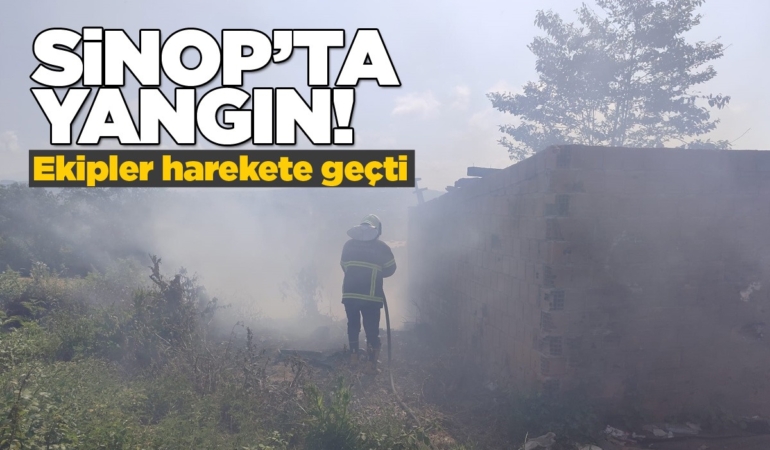 Sinop’ta arazi yangını: Ekiplerden hızlı müdahale