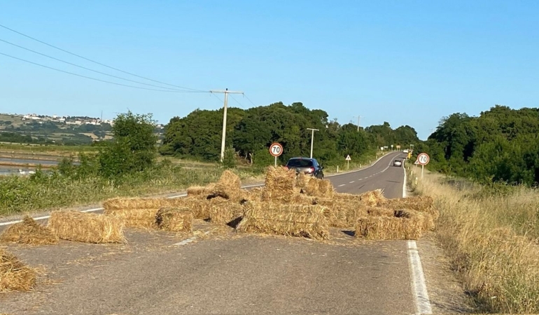 Sinop’ta yola düşen saman balyaları tehlike oluşturdu