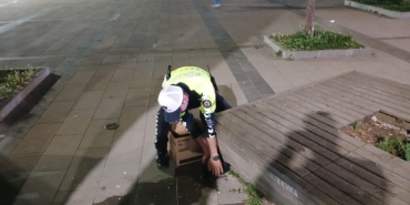 whatsapp-image-2025-05-31-at-222412