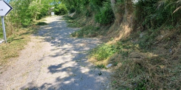 whatsapp-image-2025-06-01-at-115033