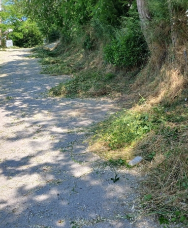 whatsapp-image-2025-06-01-at-115033