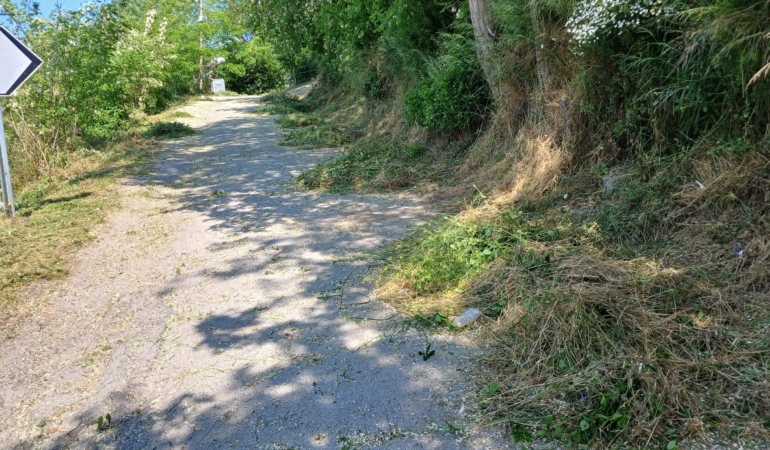 Sinop’ta yaz temizliği devam ediyor