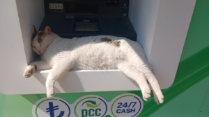 whatsapp-image-2025-06-06-at-153446