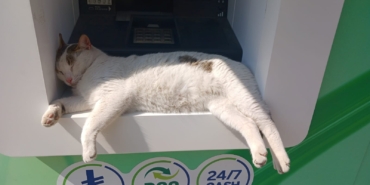 whatsapp-image-2025-06-06-at-153446