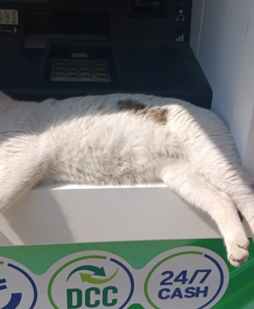 whatsapp-image-2025-06-06-at-153446