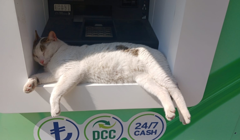 ATM’nin maskotu haline geldi