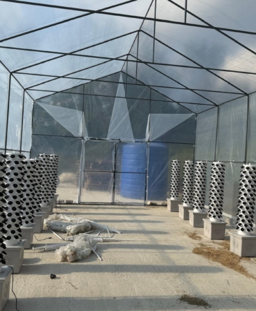 whatsapp-image-2025-06-16-at-144139