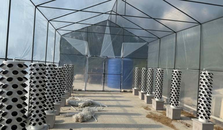 Sinopya Kadın Kooperatifi’nden tarımda bir ilk!