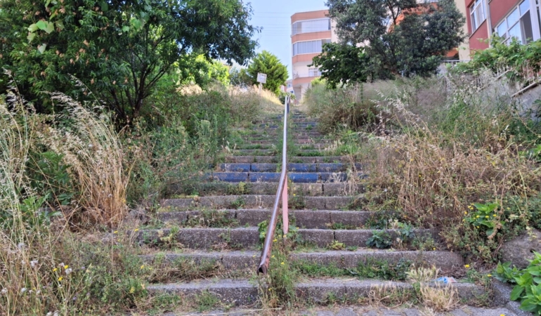Sinop’ta otlarla kapanan merdiven temizlik bekliyor