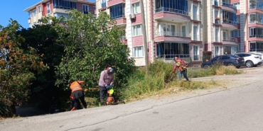 whatsapp-image-2025-06-18-at-154622