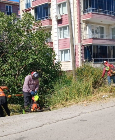 whatsapp-image-2025-06-18-at-154622