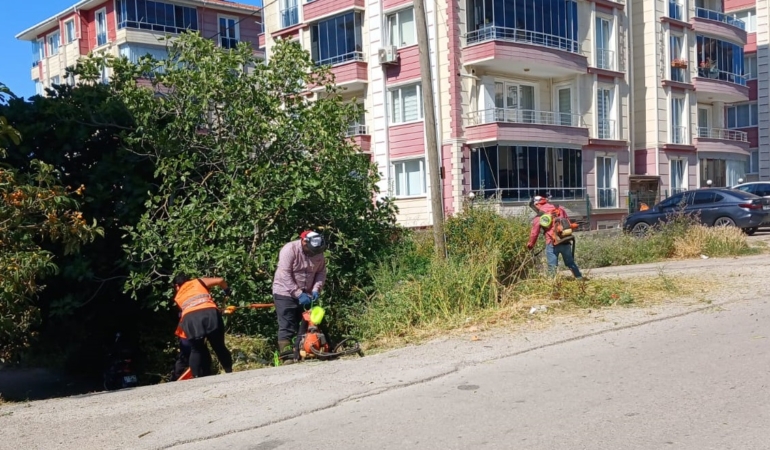 Sinop’ta yaz temizliği devam ediyor