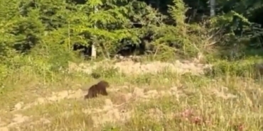 whatsapp-image-2025-06-29-at-143830