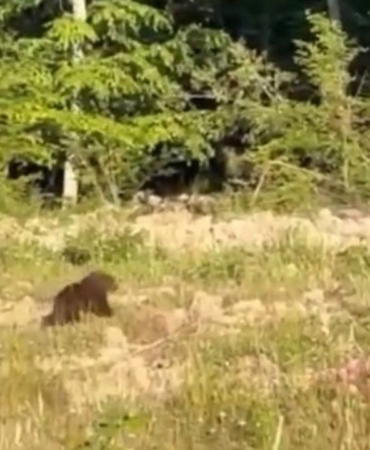 whatsapp-image-2025-06-29-at-143830