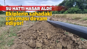 whatsapp-image-2025-06-30-at-175513