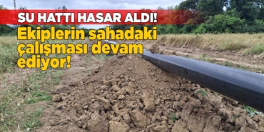 whatsapp-image-2025-06-30-at-175513