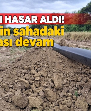 whatsapp-image-2025-06-30-at-175513