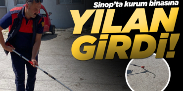 y-i-l-a-n765652362376