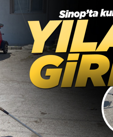 y-i-l-a-n765652362376