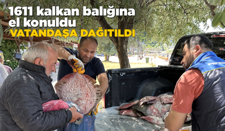 Sinop’ta kaçak avcılar sevkiyatta yakalandı