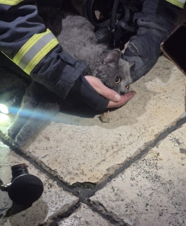 yangindan-kurtarilan-kediye-oksijen-destegi