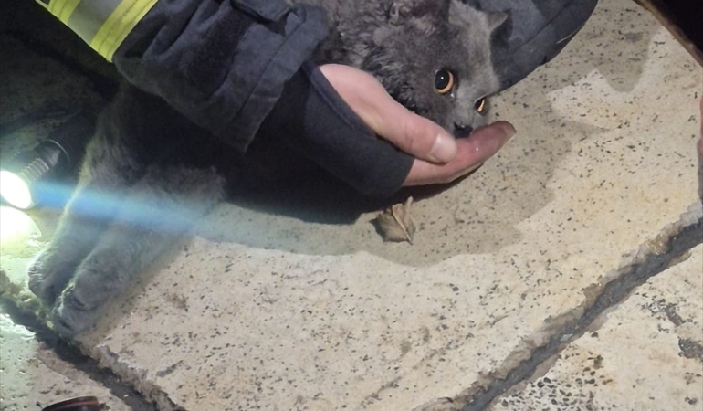 Yangından kurtarılan kediye oksijen desteği