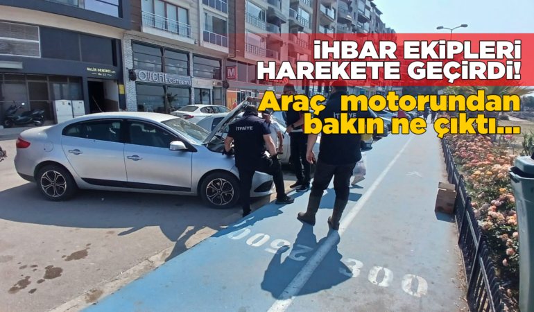 Yolunu şaşırdı, araç motoruna girdi