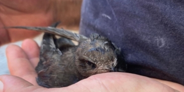 1753362849-72ade643a3d75f6e7d95