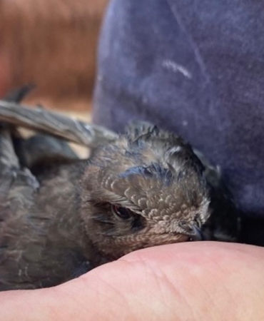 1753362849-72ade643a3d75f6e7d95