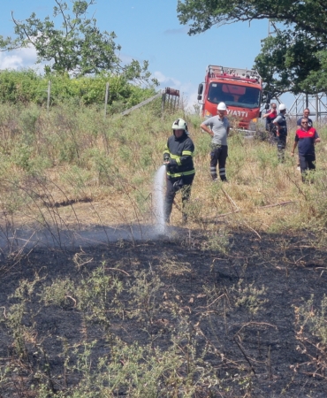 SİNOP’TA ÇÖP YANGINI OTLARA SIÇRADI