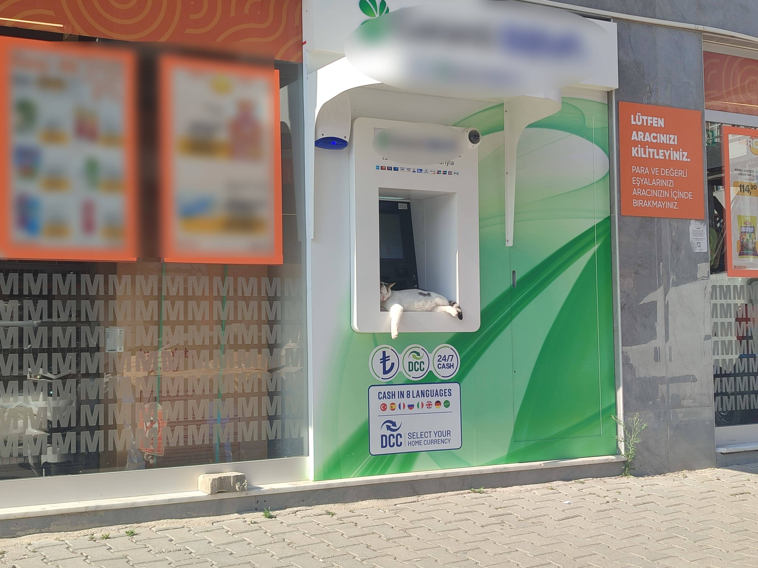 ATM ÜSTÜNDE UYUYAN KEDİ MAHALLENİN MASKOTU OLDU