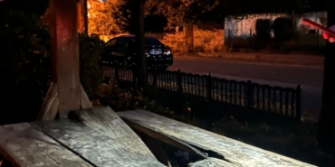 Parktaki kamelyalara zarar verildi