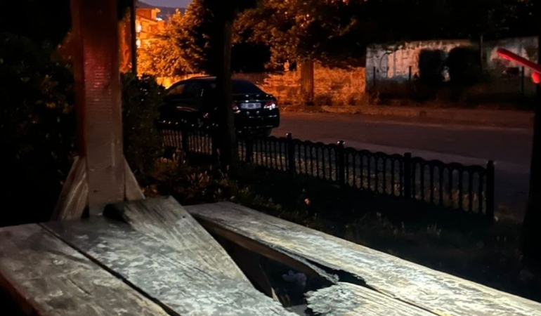 Parktaki kamelyalara zarar verildi