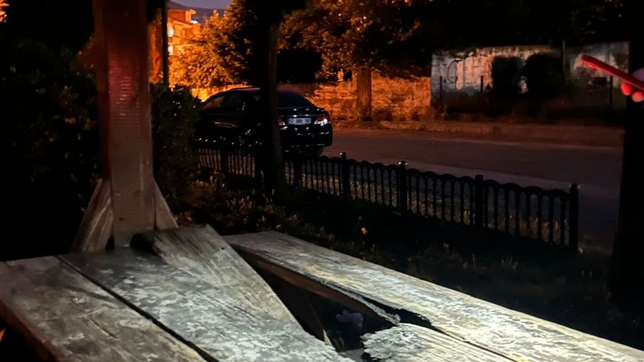 Parktaki kamelyalara zarar verildi