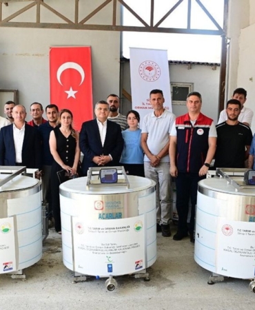 514278257-1043632787900004-4444768573518424418-n