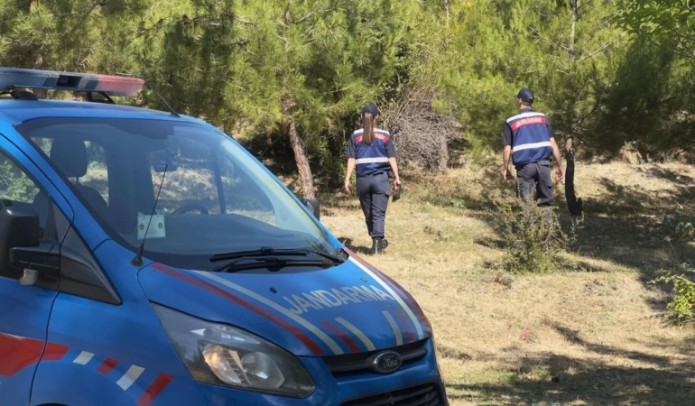 Sinop’ta jandarma, orman yangınlarına karşı teyakkuzda